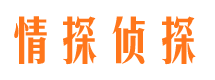 五河市私家侦探